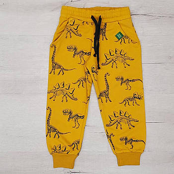 Дитячі спортивні трикотажні штани для хлопчика з начосом жовті "динозавр"/ 2/ 86-92