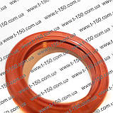 Манжета армована (сальник) колінвала передня МТЗ-80/82/892, Т-16/21/40 2.2-50х70-10, 240-1002055, силікон, фото 3