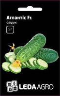 Насіння огірка Атлантіс F1, 20 шт., жіночого типу цвітіння, ТМ "ЛедаАгро"