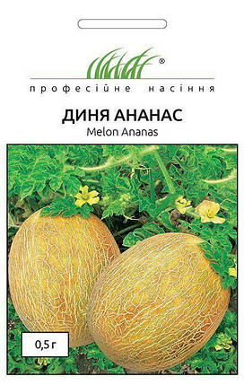 Насіння Дині Ананас 0,5 г ТМ Професійне насіння, фото 2