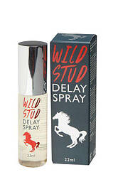 Спрей-пролонгатор для чоловіків WILD STUD DELAY SPRAY, 22 мл.