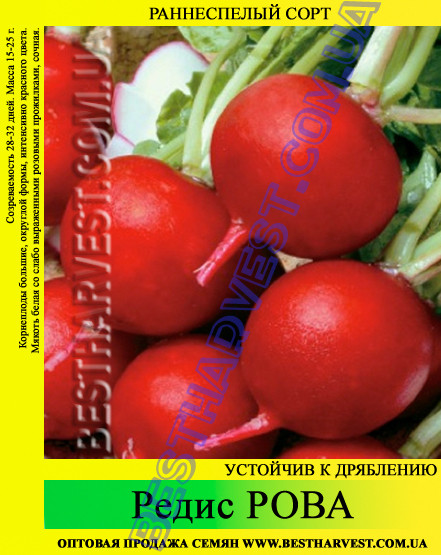 Семена редиса Рова 1 кг