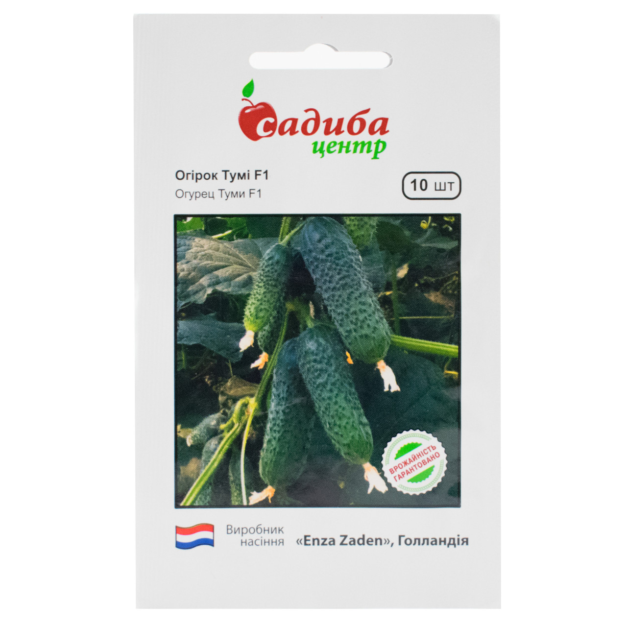 Огірок Тумі F1 10 шт Enza Zaden, фото 1
