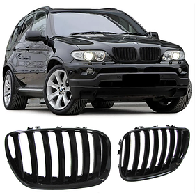 Решітка ноздрі радіатора BMW (БМВ) X5 series E53 (1999 - 2003) Матова