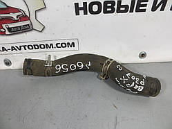 Патрубок радіатора охолодження верхній 2.0 i Peugeot 307 (2001-2008), Peugeot 206, Citroen C4 ОЕ: 1343AG