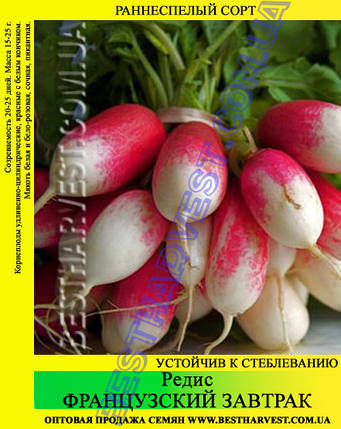 Насіння редиски «Французький сніданок» 25 кг (мішок), фото 2