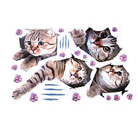 Інтер'єрна наклейка CD Кошенята SK7116 70х50см 3941806