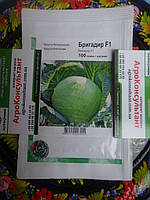 Насіння капусти Бригадир F1 (Clause), 100 насінин — середньопізня (110-120 днів), білокачанна, Франція
