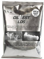 Паковочная масса для дисиликата лития Gilvest ® LDS, Гилвест ЛДС (50х100g), Giulini, Германия