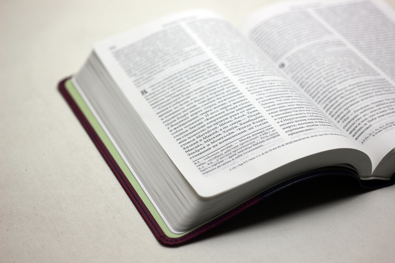 Библия на русском языке, "Современный перевод" РБО 2020, 3 издание (ID ...