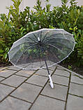 Парасоля жіноча прозора ТОП ПРОДАЖА ЗОНТ женский прозрачный КАЧЕСТВО, фото 10