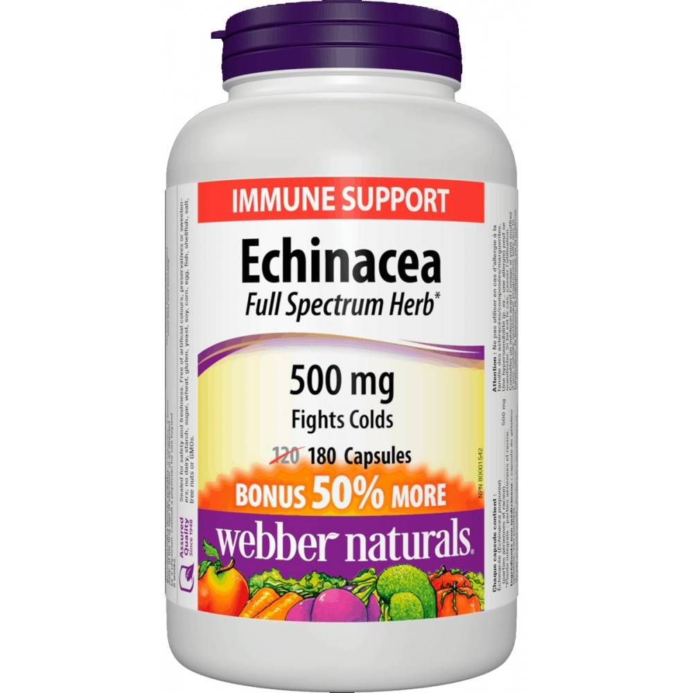 Ехінацея, природний стимулятор імунітету Webber Naturals Echinacea 500mg (180 caps), фото 1