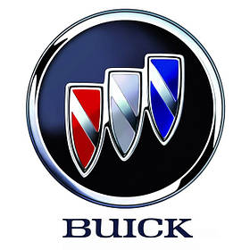 Автомобільні килимки для BUICK