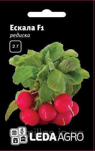Насіння редиски Ескала (Escala) F1, 2 гр., ТМ "ЛедаАгро"