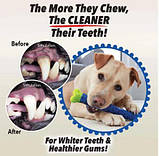 Собака щітка для чистки зубів, кісточка для собак, Chewbrush, фото 3