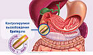 Epatoguna (GUNA, Італія) 32 табл., 36 г. Домішка для підтримки та відновлення функції печінки, фото 4