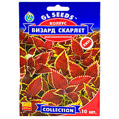 Колеус Візард Скарлет 10 шт Gl Seeds