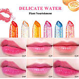 Помада проявляється Jelly Lipstick NOVO, фото 3