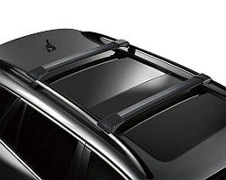 Багажник Mazda 5 1999- чорний на рейлінги Erkul