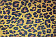 Леопардова папір 1 метр для упаковки подарунків 1 шт, фото 3