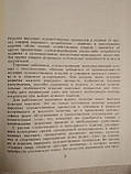 Вироби Народних Художніх промислів Р. А. Бардіна, фото 4