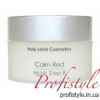 Заспокійлива маска В Holy Land Calm Red Calming Mask Step B 250 мл, фото 1