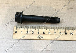 Болт шківа колінвала Ланос 1,5 GM