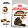 Корм для зрілих домашніх котів ROYAL CANIN AGEING 12+(від 12 років) 2.0 кг, фото 3