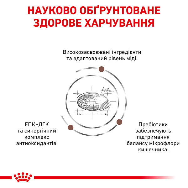ROYAL CANIN HEPATIC CAT 2.0 Royal Canin 1288808317