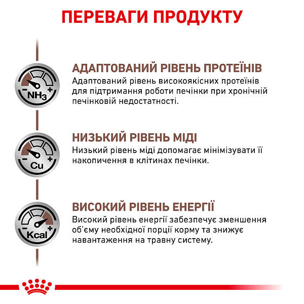 Hepatic royal canin cat sale