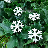 Сніжинки з фоамірану білий 2.3 см у діаметрі, набір 10 шт., фото 2