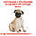 Корм для цуценят породи Мопс ROYAL CANIN PUG PUPPY 1.5 кг, фото 6