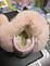Уггі чобітки зимові для дівчинки рожеві натуральне хутро Кролик розмір 24 25 26, фото 7