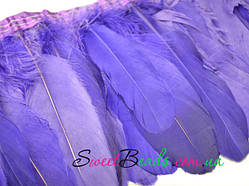 Пір'я гусині — 2, фіолетовий