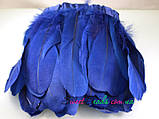 Пера гусячі -2 довгі, темно-синій, фото 2