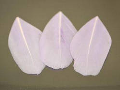 Перо гусиное №2 (4-6см), сирень 1шт