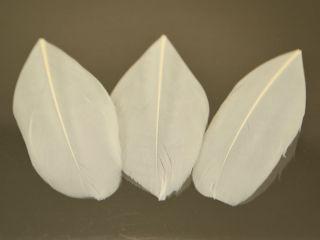 Пір'я гусині No1 (5-8 см), біле 1 шт., фото 1