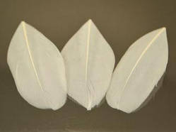 Пір'я гусині No1 (5-8 см), біле 1 шт.