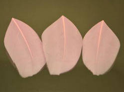 Перо гусяче №1 (5-8см), рожеве 1шт