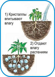 Гідрогель