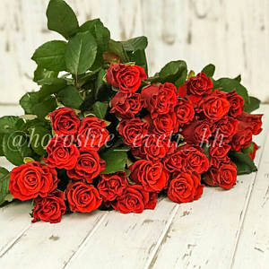 Троянда червона ЕльТоро 60 см