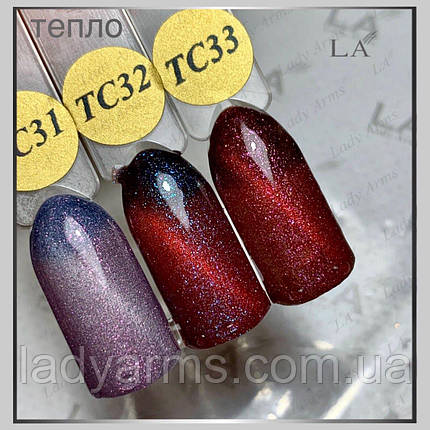С31 кішка, фото 3