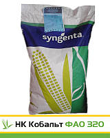 Семена кукурузы Сингента НК Кобальт ФАО 320 (Syngenta NK Kobalt )