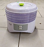 Нова надійна і потужна сушка для фруктів Adler AD6654 з Європи з гарантією, фото 3