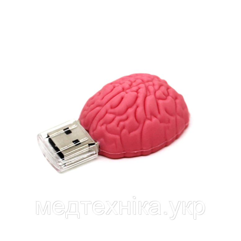 USB-флешка мозг 64 Гб.