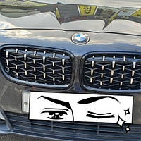 Решетка радиатора для BMW 5 series F10/ F11/ F18