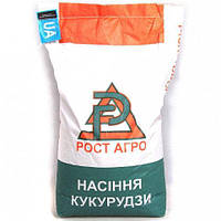 ДБ Хотин (ФАО 280) Насіння кукурудзи Рост Агро