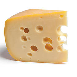 Закваска для сиру Маасдам на 5л молока