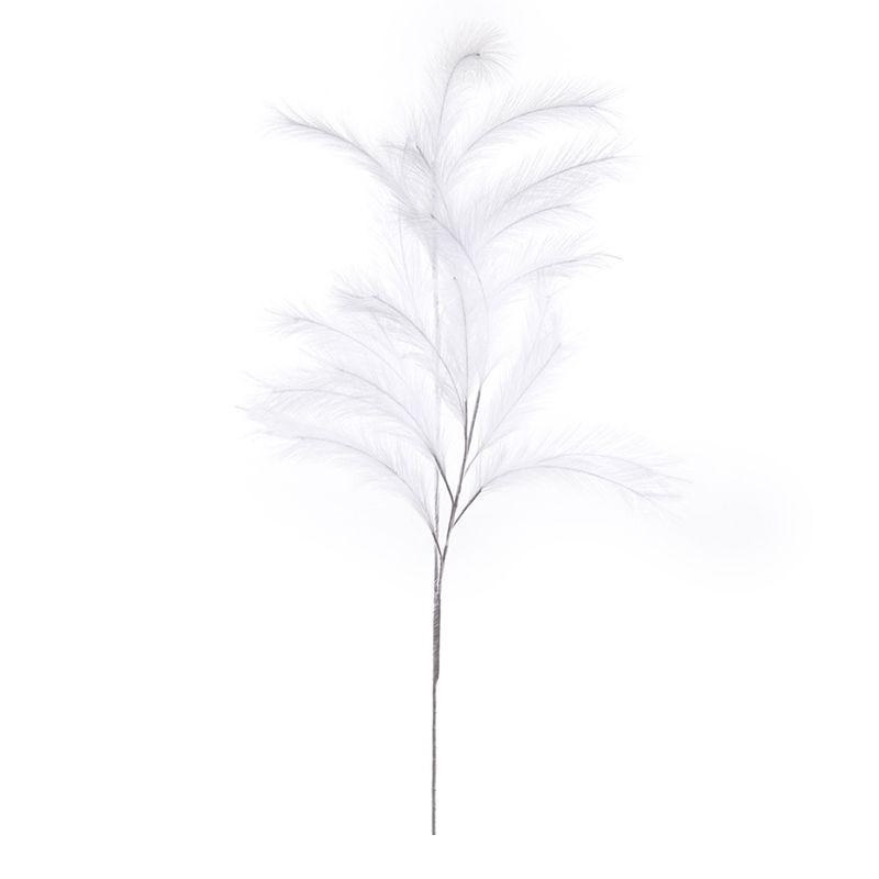 Кортадерія штучна, фото 1