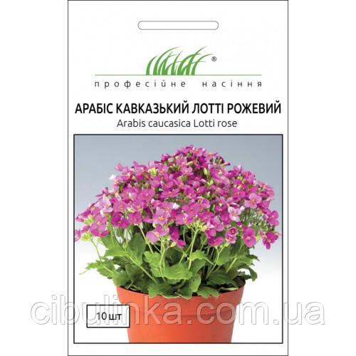 Насіння арабиса Лотті рожевий,10 шт Професійне насіння, фото 1